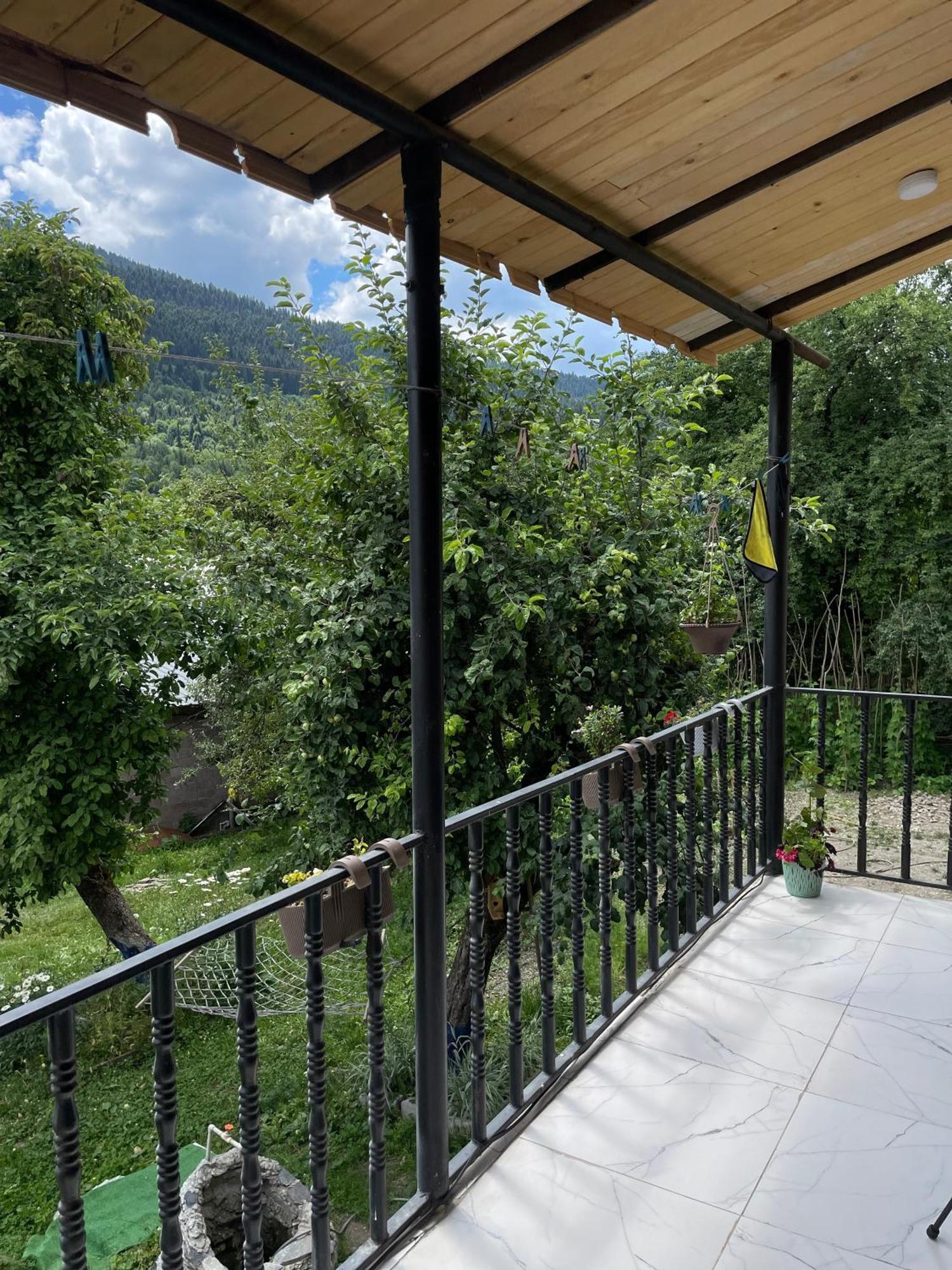 Mamuka Chartolani Guesthouse 梅斯蒂亚 外观 照片
